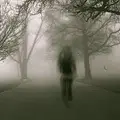 ТрассаЕ95
