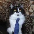 ГрегориЙ
