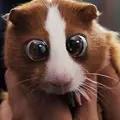 Машенька