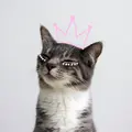 Кучерявый
