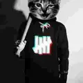 СкотЭ