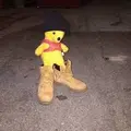 Шустрый