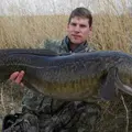 Налим