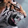 LostMyMoney_92