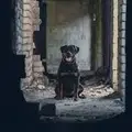 КенТ