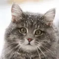 Лариса Ивановна