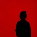 le_gitan77