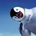 ЕКБСтас