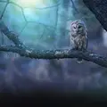 Валентиин
