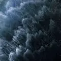 VikiLeaks