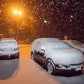 Siberian