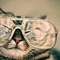ФедяСорокин