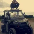 Вованн