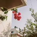 Алинааа
