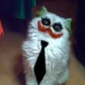 Запал