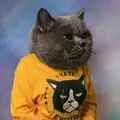 ВасилийНеЛ