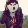 1АдынАдын1