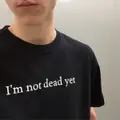 Ирландец