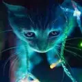 КотЭйКа