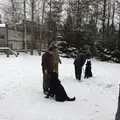 АнатолийСПБ