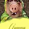 11Нон11