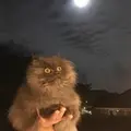 Олежа