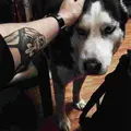 Пшеничный