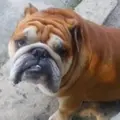 Синдром