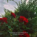 Sunny_Girl