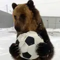 Яриик