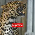 Стас00