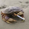 Аркадий Чиркунов