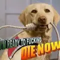 Max_34