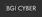 BGI Cyber - Финансовые организации