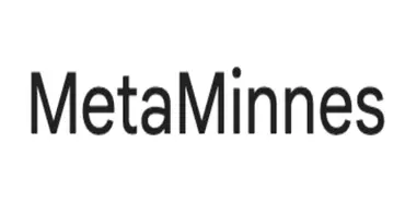 MetaMinnes - Финансовые организации