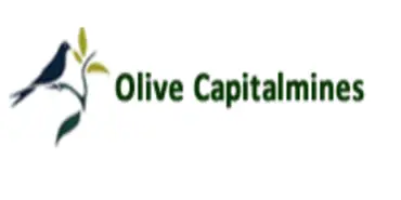 Olive Capitalmines - Финансовые организации