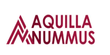 Aquilla Nummus - Финансовые организации