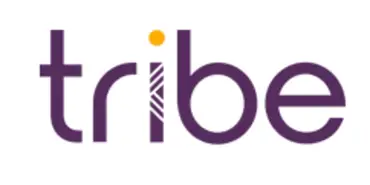 Tribe Payments - Финансовые организации