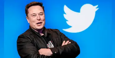 Купить акции Twitter - выгодное вложение или риск