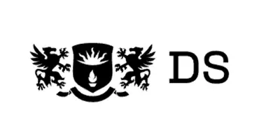 DS Consulting - Финансовые организации
