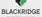 BlackRidgeCM - Форекс брокеры