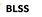 British Legal Security Services - Финансовые организации