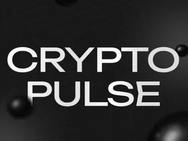 CryptoPulse Invest - Криптовалютные организации