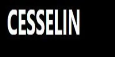 Cesselin - Криптообменники
