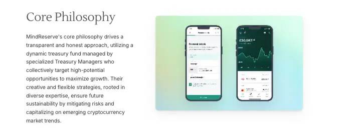 MindReserve инфо о сайте обзор на MindReserve