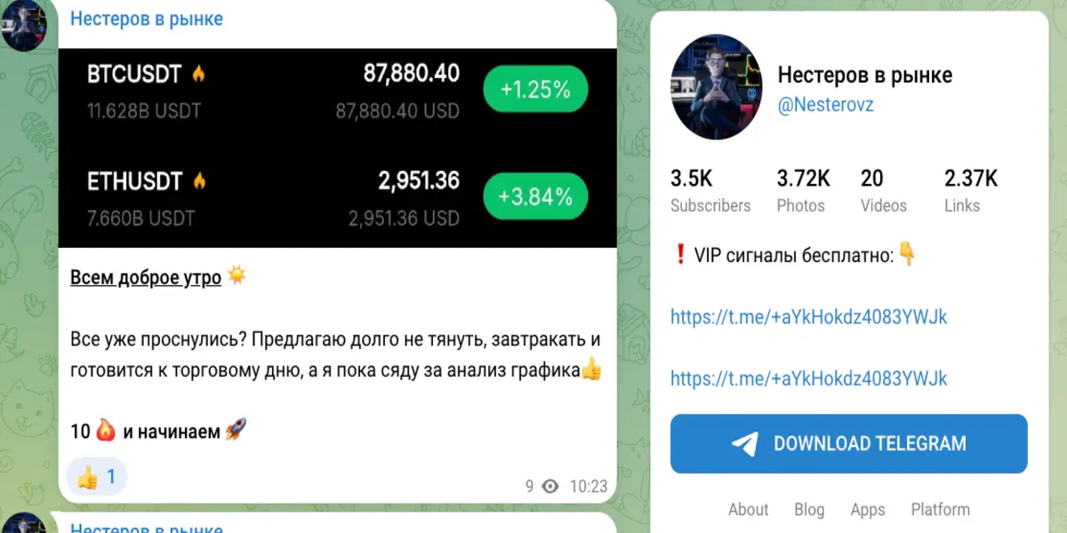 обзор на Нестеров в рынке