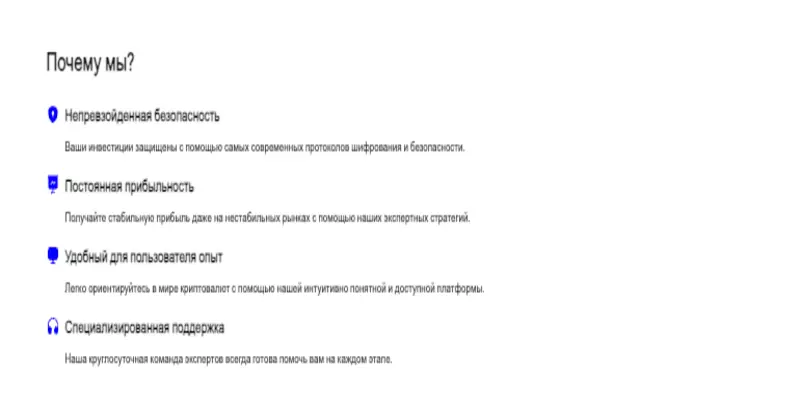 что известно? SurgePurse