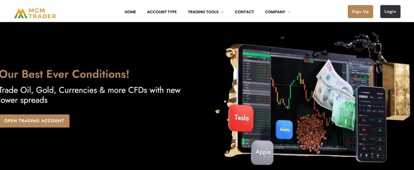MGM Trader LTD обзор компании обзор MGM Trader LTD