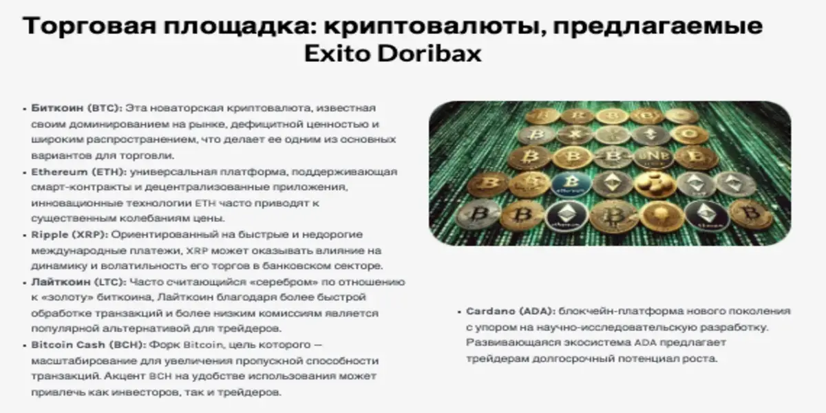 обзор на Exito Doribax
