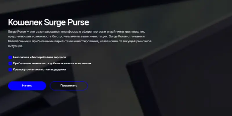 информация о SurgePurse